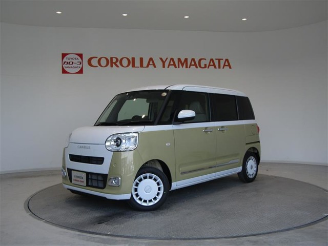 ムーヴキャンバス  ストライプス G