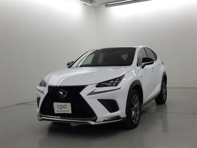 NX 300 Fスポーツ 