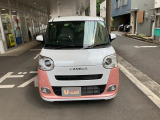 ムーヴキャンバス  ストライプス G