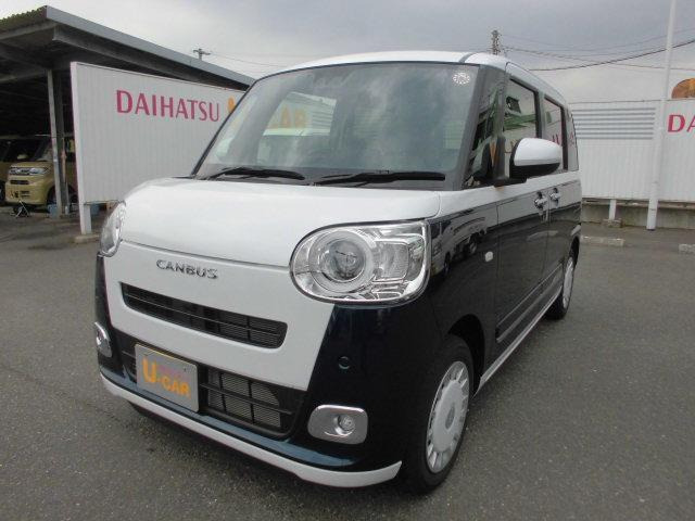ムーヴキャンバス  ストライプス G