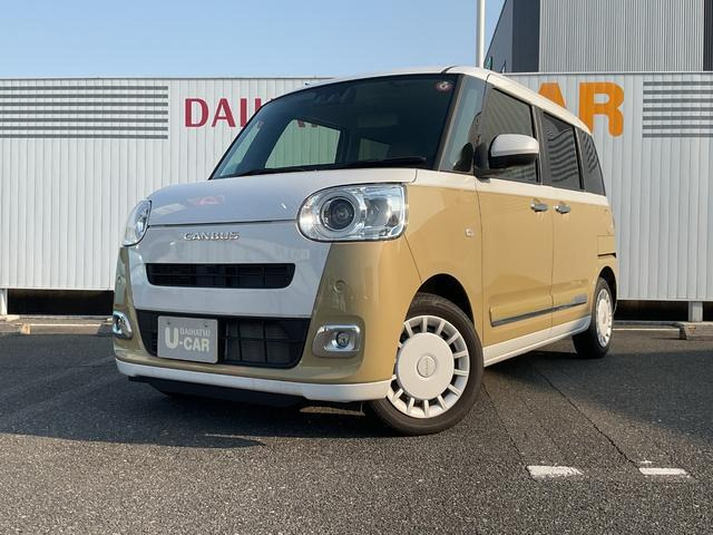 ムーヴキャンバス  ストライプス G