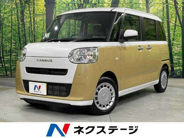ムーヴキャンバスストライプス X
