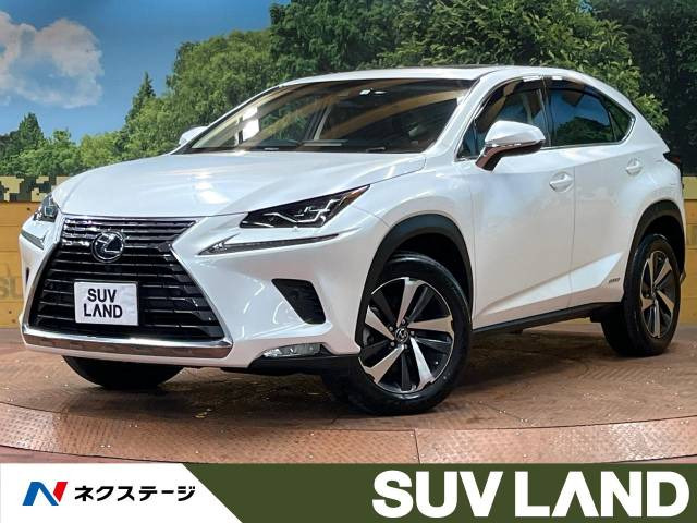 NX 300h Iパッケージ 