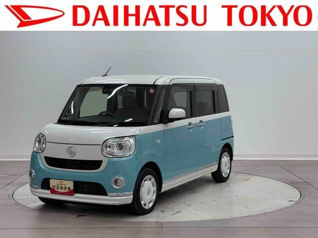 ムーヴキャンバス G メイクアップ リミテッド SAIII 