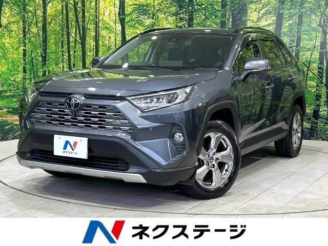 RAV4  G