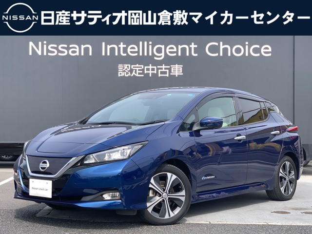 リーフ G 
