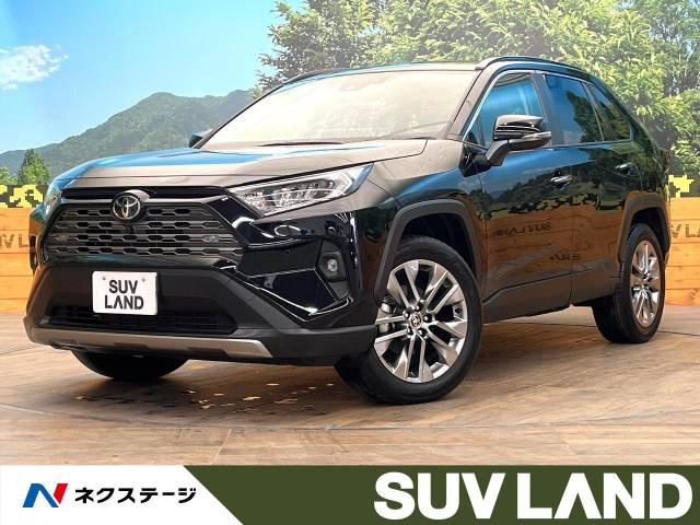 RAV4  G Zパッケージ