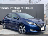 リーフ G 