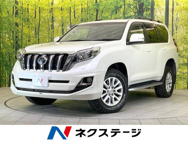 ランドクルーザープラド  TZ-G