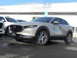 CX-30 2.0 20S ツーリング 