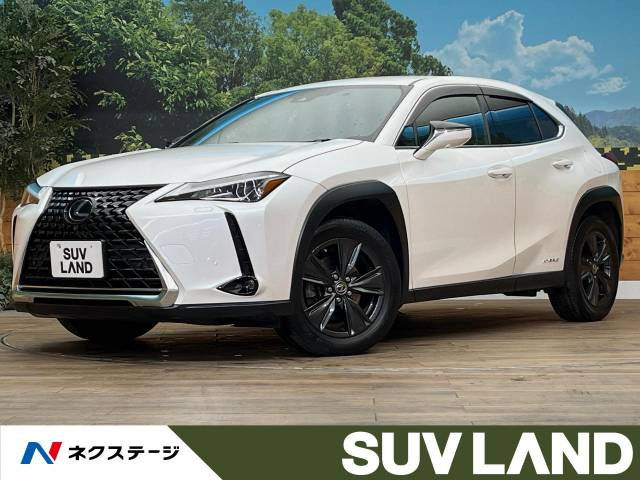 UX 250h バージョンC 