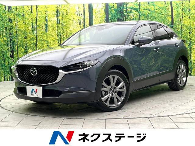 CX-30 2.0 20S プロアクティブ ツーリングセレクション 