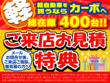ムーヴキャンバス  ストライプス X