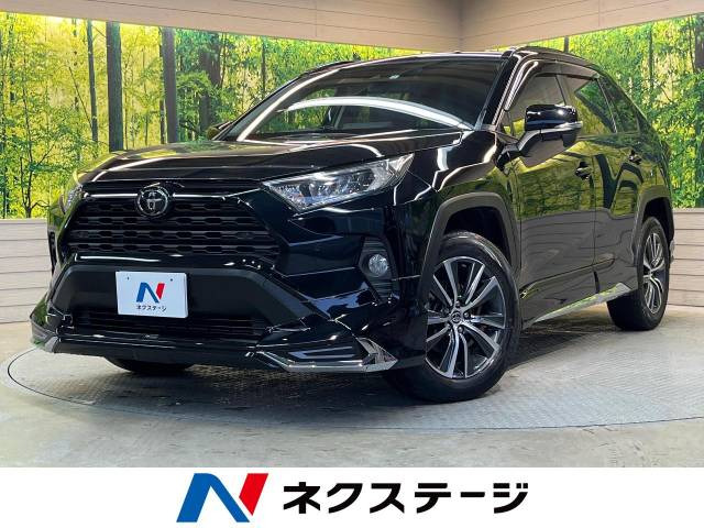 RAV4 2.0 X 