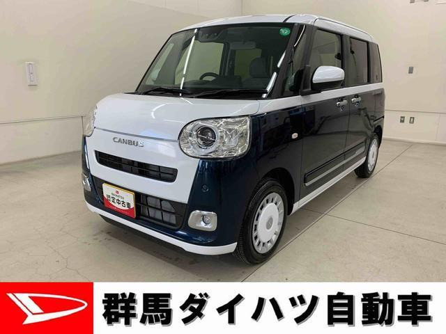 ムーヴキャンバス  ストライプス G