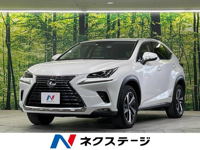 NX 300h バージョンL 