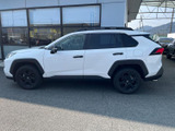 RAV4 2.0 アドベンチャー オフロードパッケージ 4WD 
