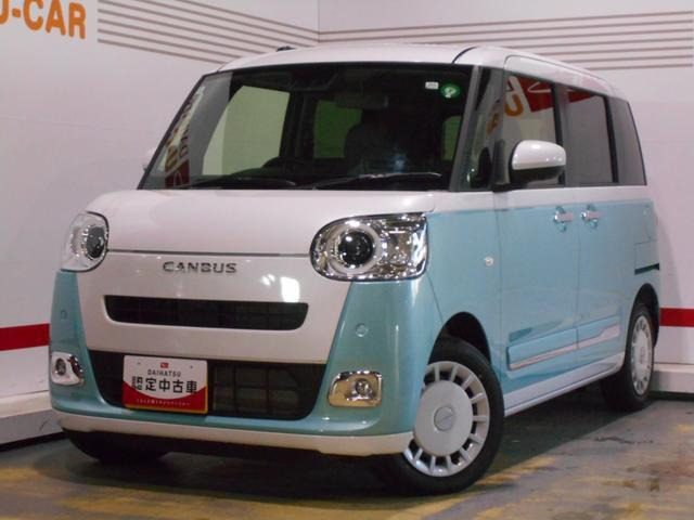 ムーヴキャンバス  ストライプス G