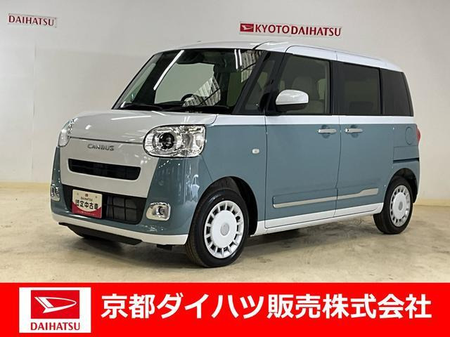 ムーヴキャンバス  ストライプス G