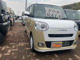 ムーヴキャンバス  ストライプス G