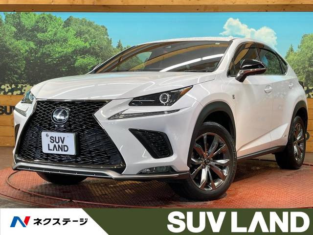 NX 300h Fスポーツ 