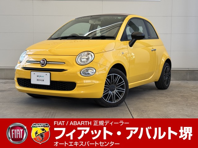 500C ミモザ 