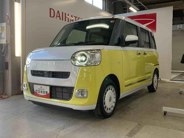 ムーヴキャンバス  ストライプス G