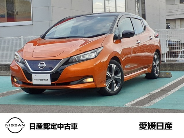リーフ G 