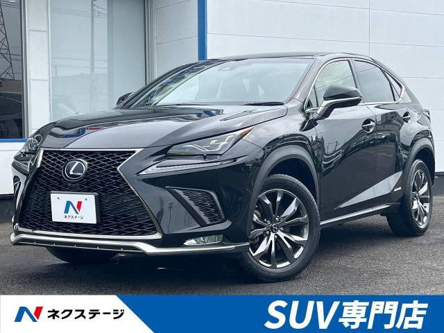 NX 300h Fスポーツ 