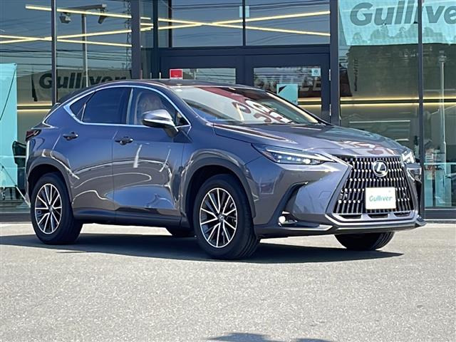 NX 250 バージョンL 本革シート ワンオーナー