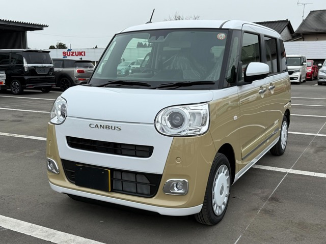 ムーヴキャンバス  ストライプス G