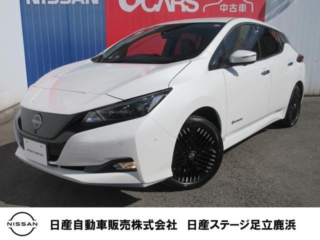 リーフ e+ G 