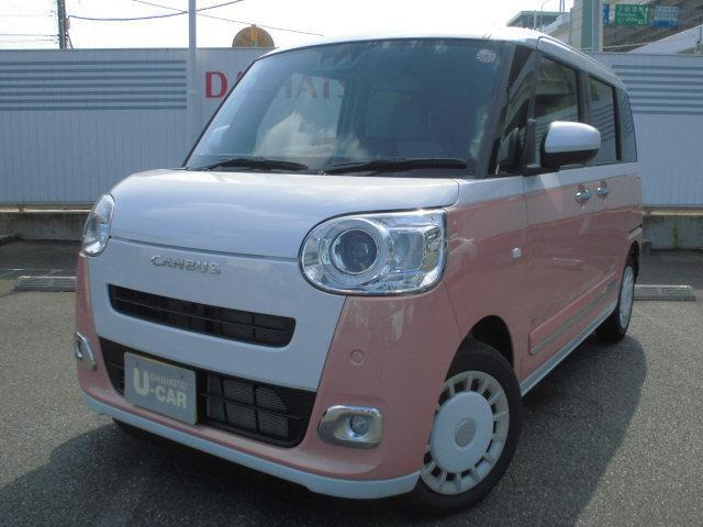 ムーヴキャンバス  ストライプス G