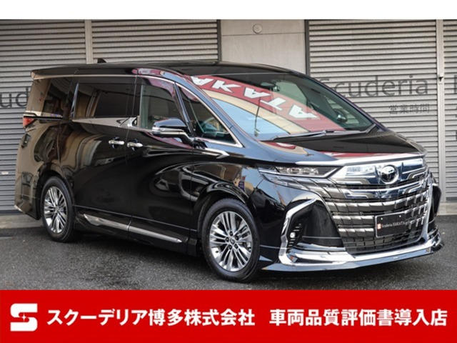 アルファード モデリスタ サイドエアロ(左スライドドアのみ)塗装