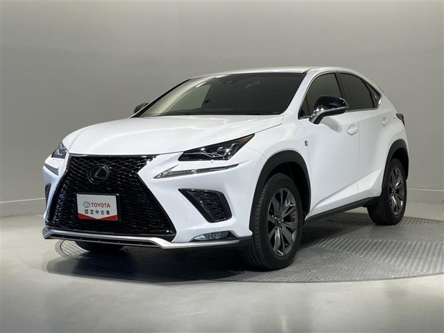 NX 300 Fスポーツ 