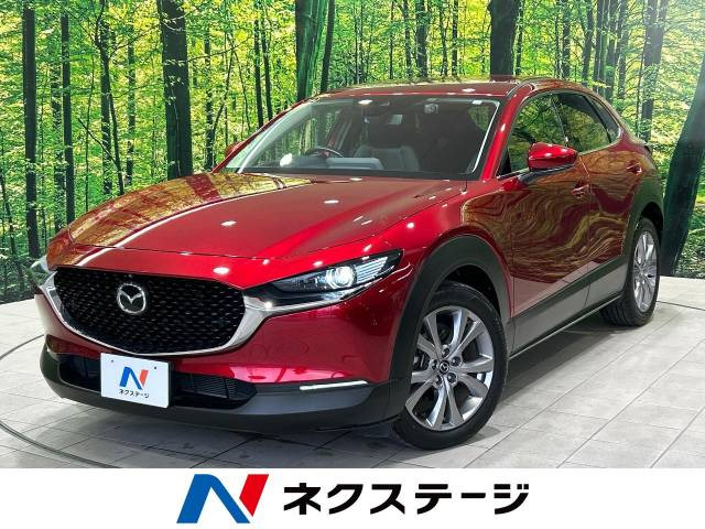 CX-30 2.0 20S プロアクティブ ツーリングセレクション 