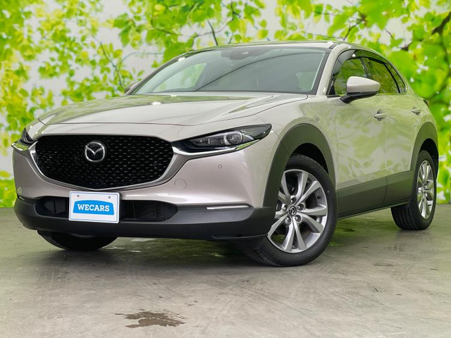 CX-30 2.0 20S プロアクティブ 