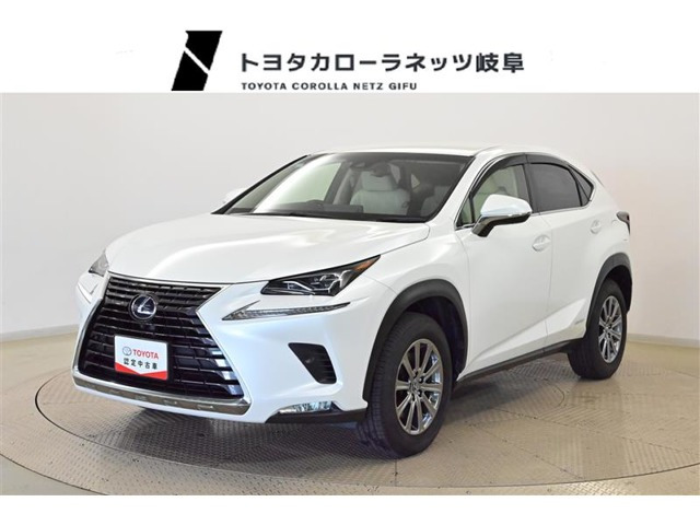 NX 300h Iパッケージ 