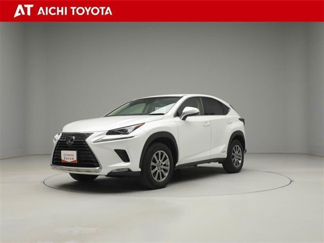 NX 300h Iパッケージ 