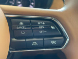 レーダークルーズ機能。クルーズ機能は他車のお手本となるようなコマンド入力が可能です。シンプルでありながら満足感のあるボタンは秀逸です。