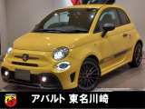 人気のブルームイエロー入荷です!