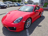 ケイマン  PDK
