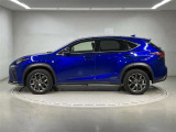 NX 300h Fスポーツ 