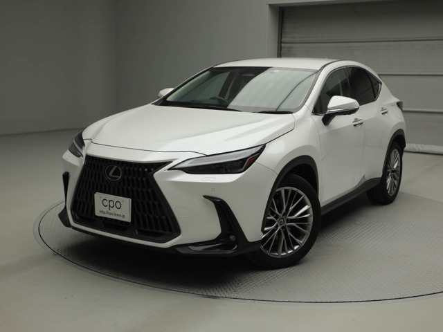 NX 250 バージョンL NX 250 バージョンL