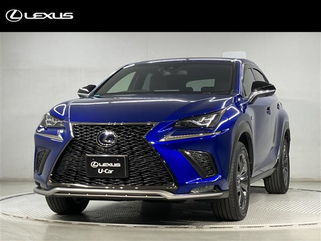 NX 300h Fスポーツ 