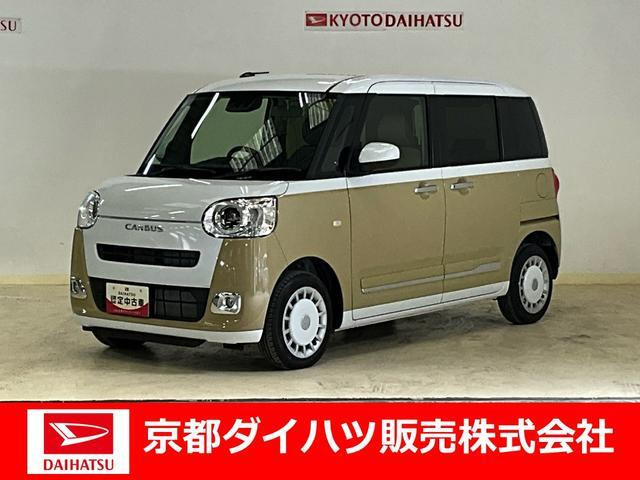 ムーヴキャンバス  ストライプス G