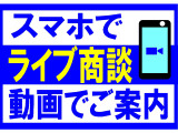 キャラバンコーチ 2.4 シルクロードVX 