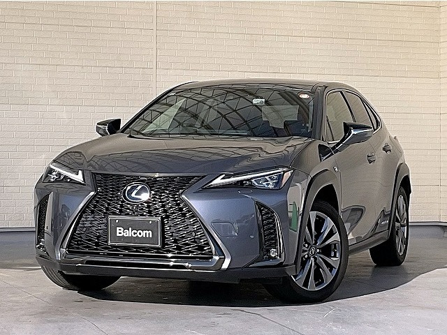 UX 250h Fスポーツ 