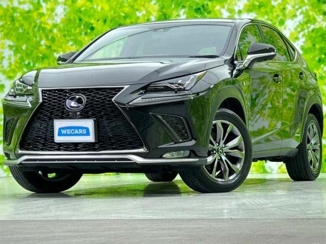 NX 300h Fスポーツ 