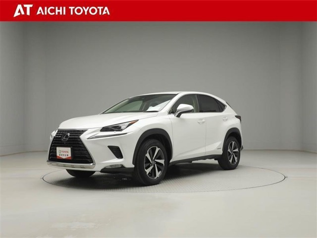 NX 300h Iパッケージ 